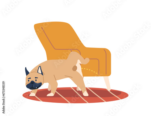 Dog Urinating On Furniture Is A Common Behavior Problem, Indicating Territorial Marking, Or Inadequate Housetraining