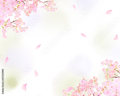 美しい薄いピンク色の桜の花と花びら春の水彩白バックフレーム背景素材イラスト © Merci