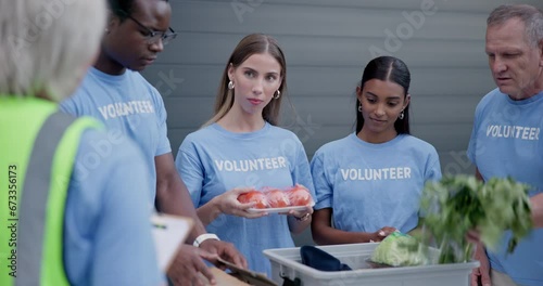 Volunteer group, food donation and people count grocery product, stock or vegetables for charity, NGO or distribution. Project leader, diversity or city team, activist or community for non profit photo