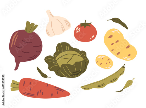 Fresh Vegetable Set Includes Vibrant, Crisp Produce Like Tomato, Carrot, Beetroot And Garlic. Cauliflower, Soy Bean