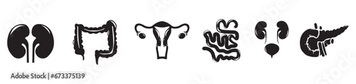 Human internal organs. Vector sketch isolated illustration. Hand drawn doodle anatomy symbols set.Reproductive system, lungs,liver,intestine,stomach,pancreas,kidney,uterus,intestine,galbladder	