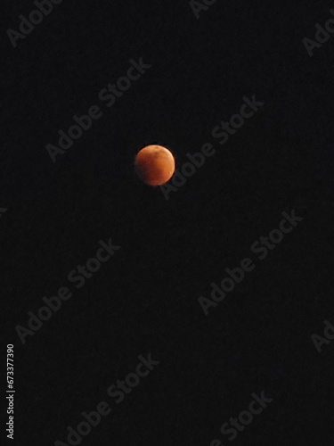 Lunar Eclipse © LaDonna