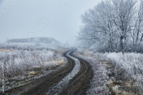 A Winter Morning in the Woods © Ryzhkov Oleksandr