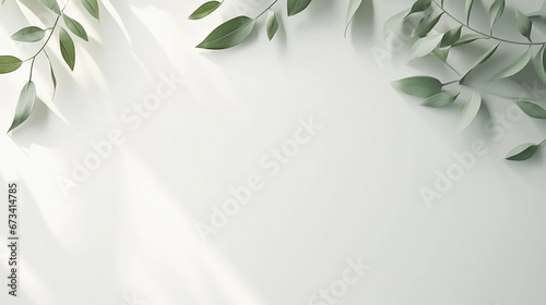 clean white background for product shots  plant in background  minimalist  room for text  perfect for product mockups and beauty