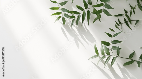 clean white background for product shots, plant in background, minimalist, room for text, perfect for product mockups and beauty photo