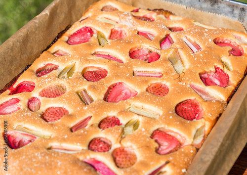 Delicious cake with strawberries and rhubarb © Piotr Wojtkowski