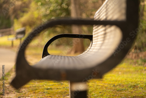 bench in the park
