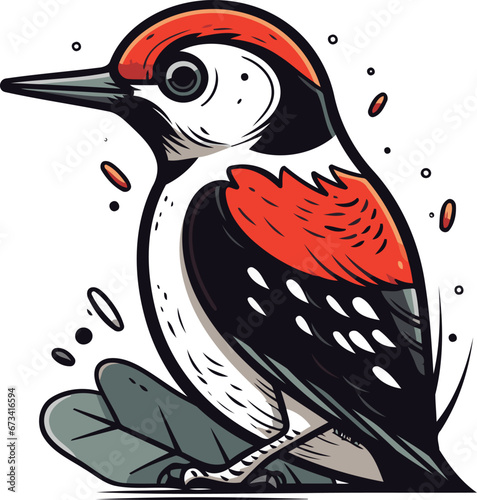 Dendrocopos major. Woodpecker vector illustration. photo