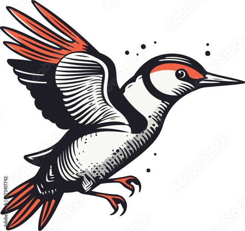 Hand drawn woodpecker isolated on white background. Vector illustration. photo