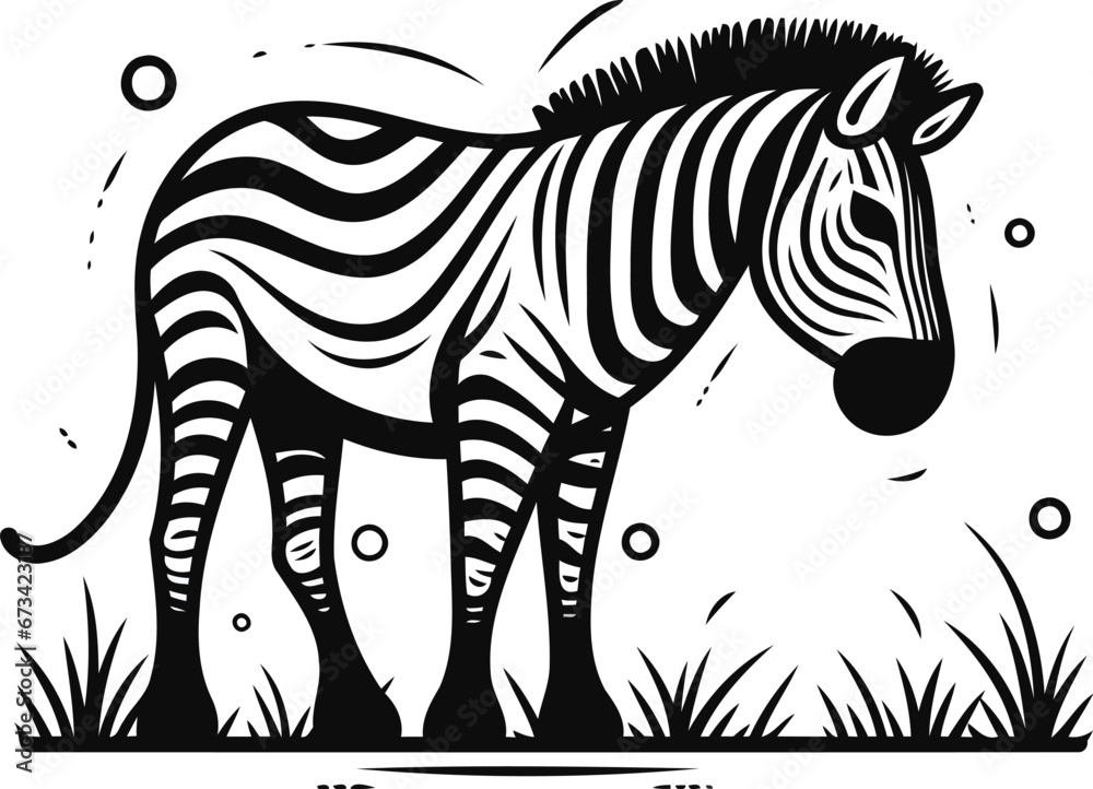 Obraz premium Zebra on white background. Vector illustration in black and white colors.