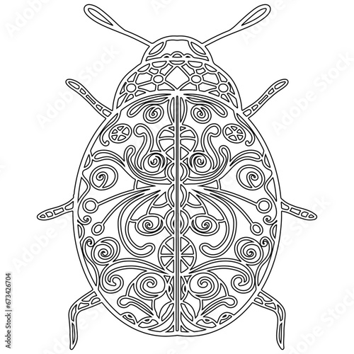 Insect 3, hand drawn, beetle isolated on white background. Colouring page-282.