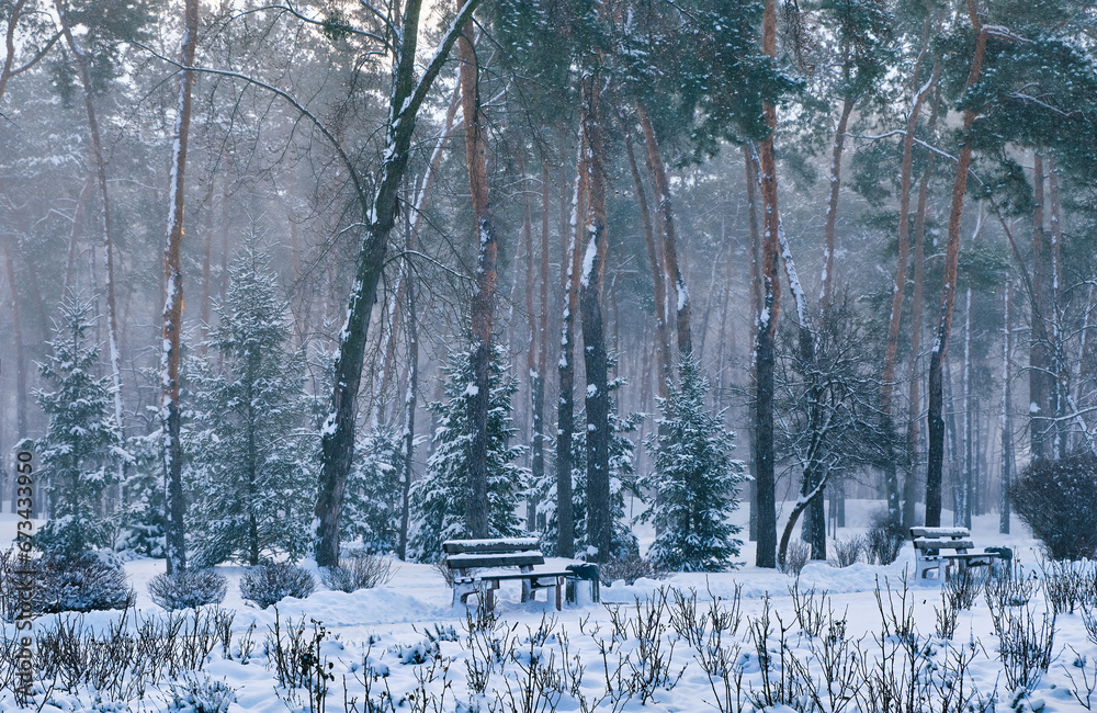Bench in park with falling fir and pine trees after sleet load and heavy snow at the background. Snow-covered winter street in a city. Weather forecast concept. Bench in park with falling fir and pine trees after sleet load and heavy snow at the background. Snow-covered winter street in a city. Weather forecast concept.