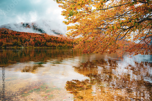 Yellow autumn trees on the shore of lake in Slovenia 