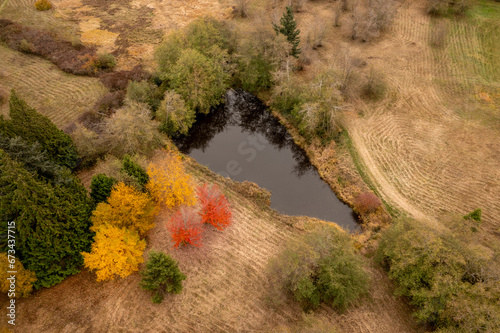 Aerial view of a farm cattle pond during the colorful fall season. Rural farmland with alder and maple trees changing color signaling the approach of winter.