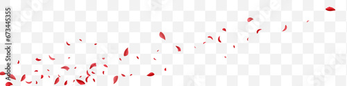 Beautiful Rose Falling Vector Transparent