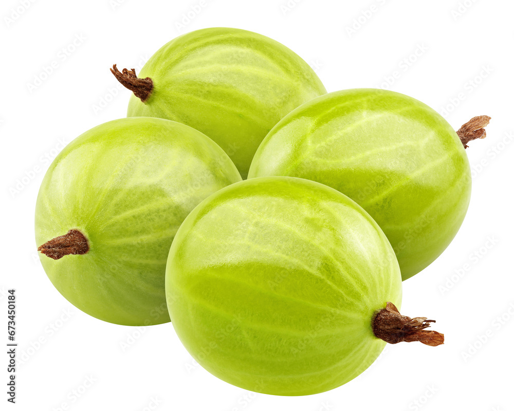 Gooseberry isolated on white background, full depth of field Gooseberry isolated on white background, full depth of field