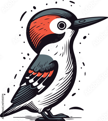 Woodpecker isolated on white background. Hand drawn vector illustration. photo