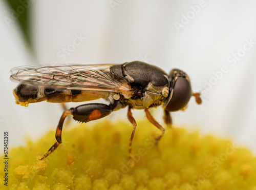 Macro Musings