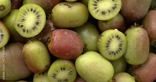 Hardy kiwi fruit (mini kiwi) background. Table spin.  photo