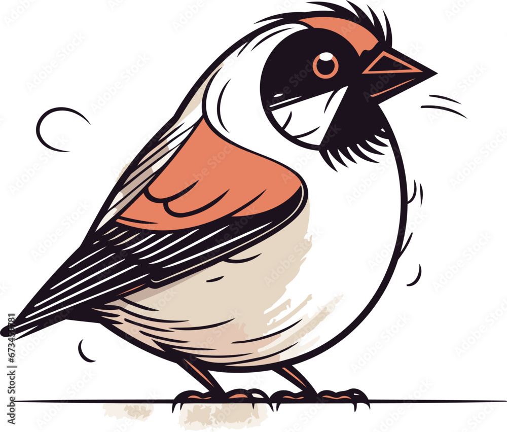 Obraz premium Bullfinch on a white background. Vector illustration of a bird.