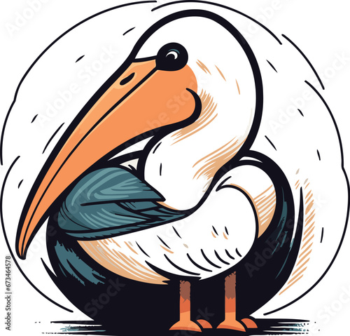 Pelican vector illustration. Isolated pelican on white background. photo