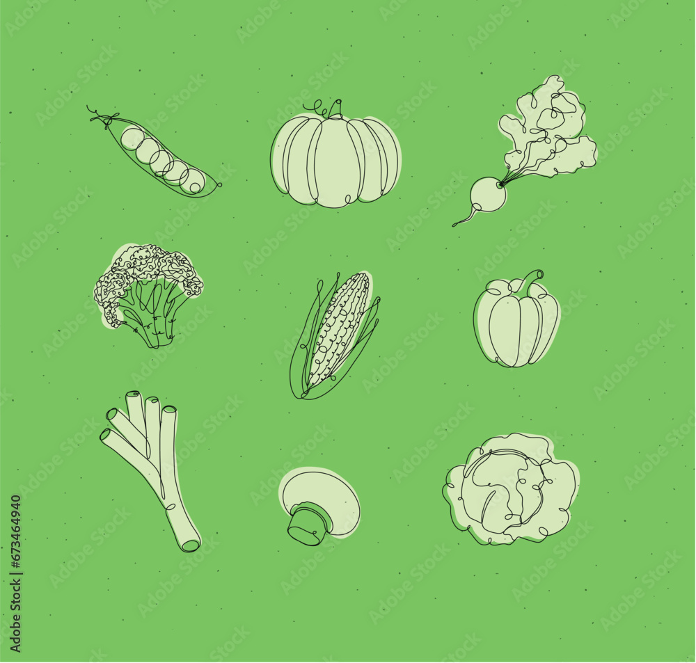 Vegetables icons peas, pumpkin, radish, broccoli, corn, pepper, leek, champignon, cabbage drawing in linear style on white background