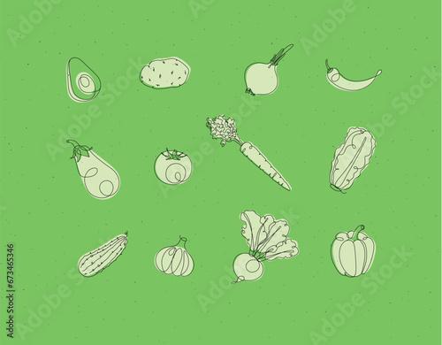Obraz na płótnie Vegetables icons avocado, potato, onion, chili, eggplant, tomato, carrot, lettuce, cucumber, garlic, beet, pepper drawing in linear style on green background w salonie
