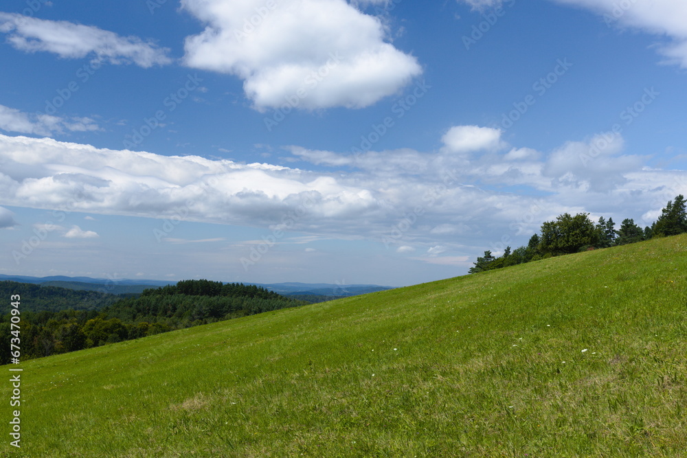 Low-growing grass against the background of the Polish Bieszczady Mountains