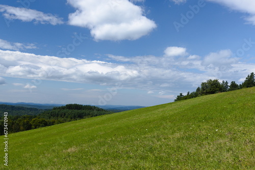 Low-growing grass against the background of the Polish Bieszczady Mountains