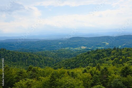 Fototapeta Naklejka Na Ścianę i Meble -  The green landscape of the Polish Bieszczady Mountains
