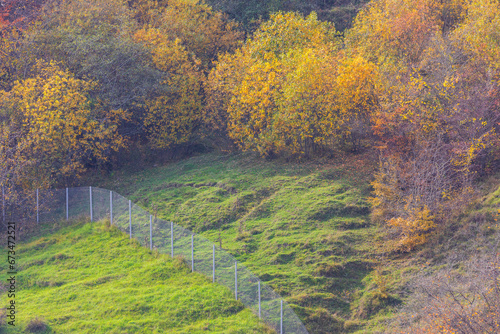 Autumn colors in the mountains