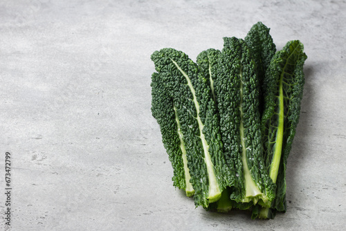 Fresh leaves of tuscan black cabbage or cavolo nero or lacinato kale on a gray textured background