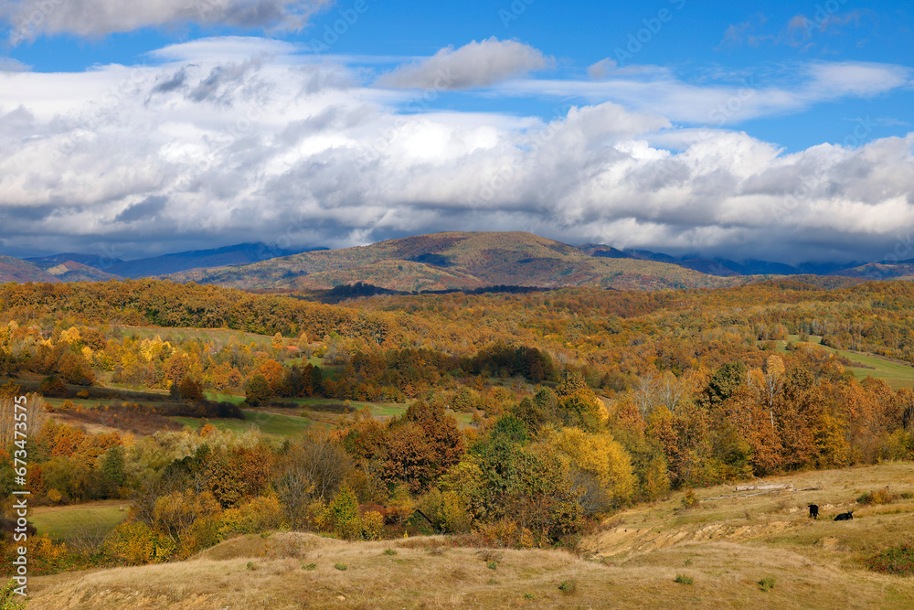 Autumn colours in Apuseni mountains, Occidental Carpathians of Romania, Europe. Warm autumn colours on a sunny day
