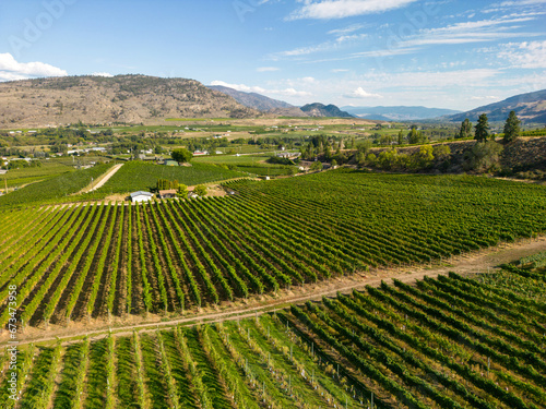 Okanagan Valley Winery Vineyard British Columbia