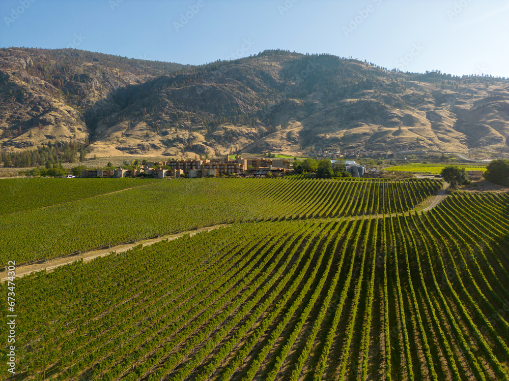 Okanagan Valley Winery Vineyard British Columbia