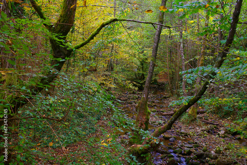 Autumn colours on Vadu Crisului, Romania, Europe. Beginning of autumn colours concept. photo