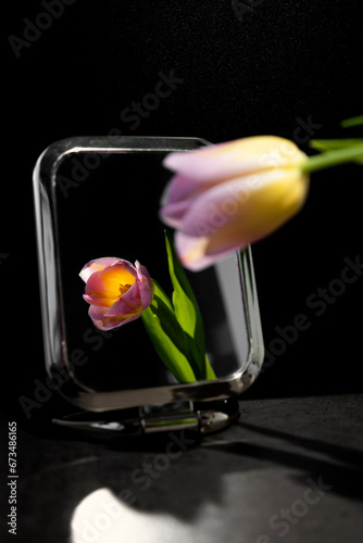 Pink tulip in the mirror on a dark background.