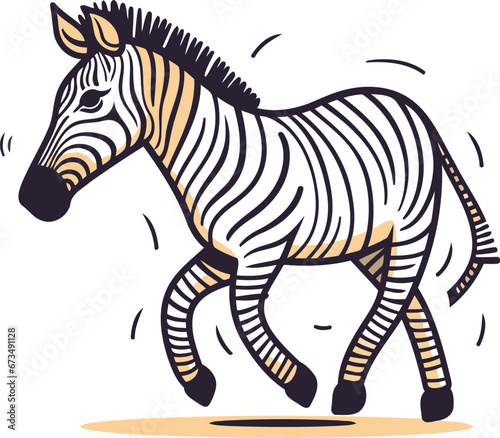 Zebra. Vector illustration in doodle style on white background