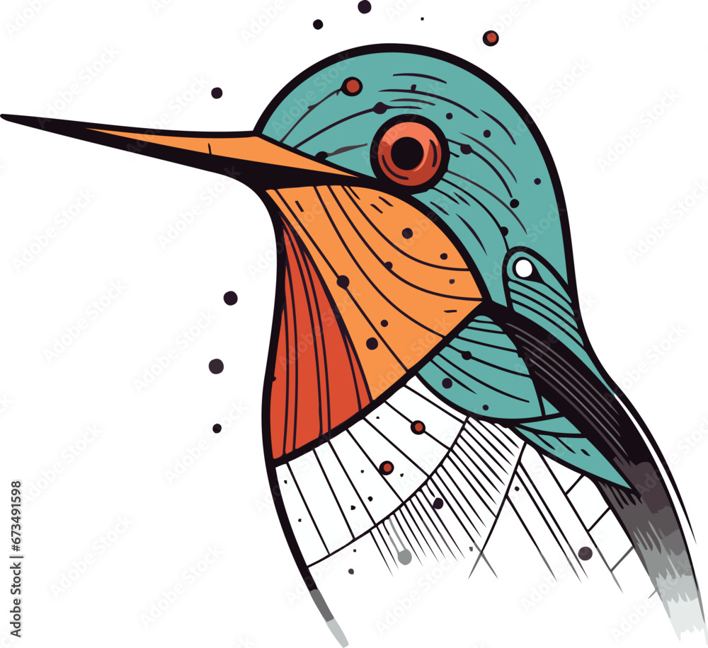 Fototapeta premium Vector hand drawn illustration of hummingbird. Isolated on white background.