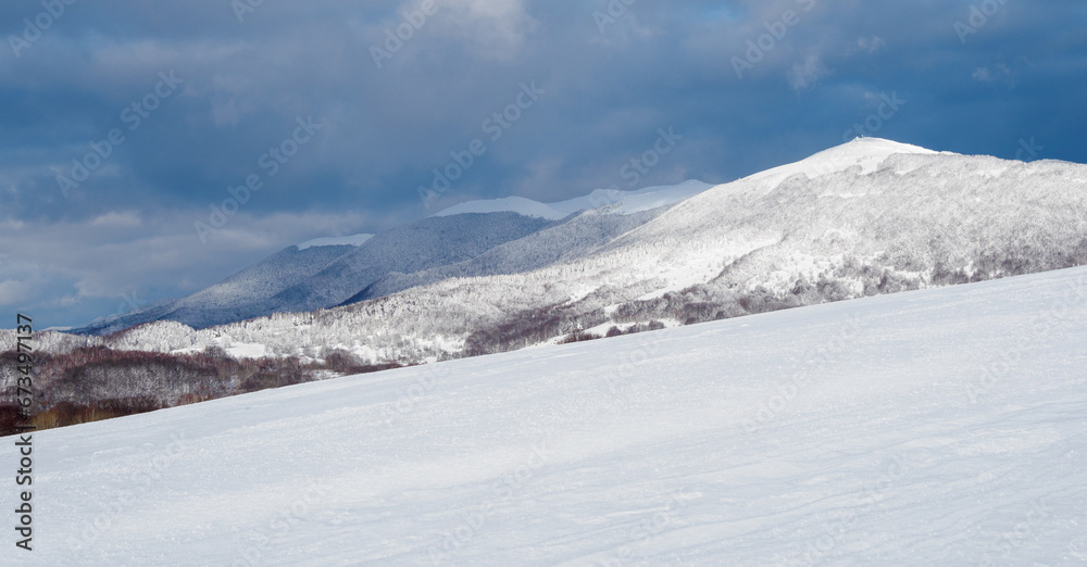 Snow-covered trees on mountain slopes.