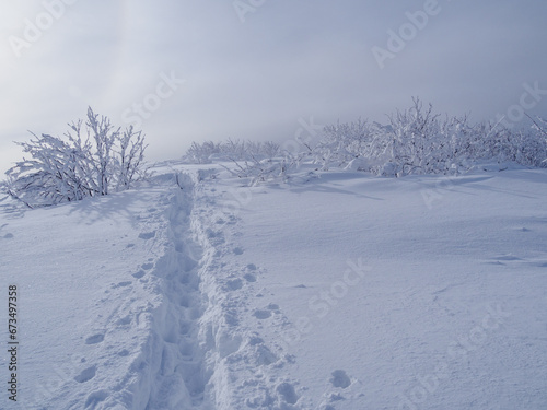 Snow covered trees in the forest. snow-covered tourist trail. Bieszczady Mountains. Poland.