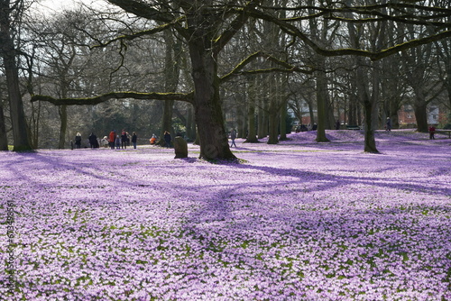 spring in the park