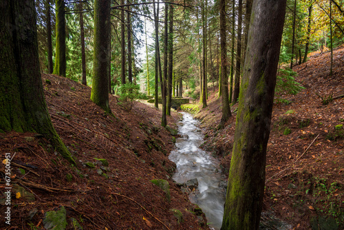 Paisagem edílica outonal | Portugal - Serra da Lousã