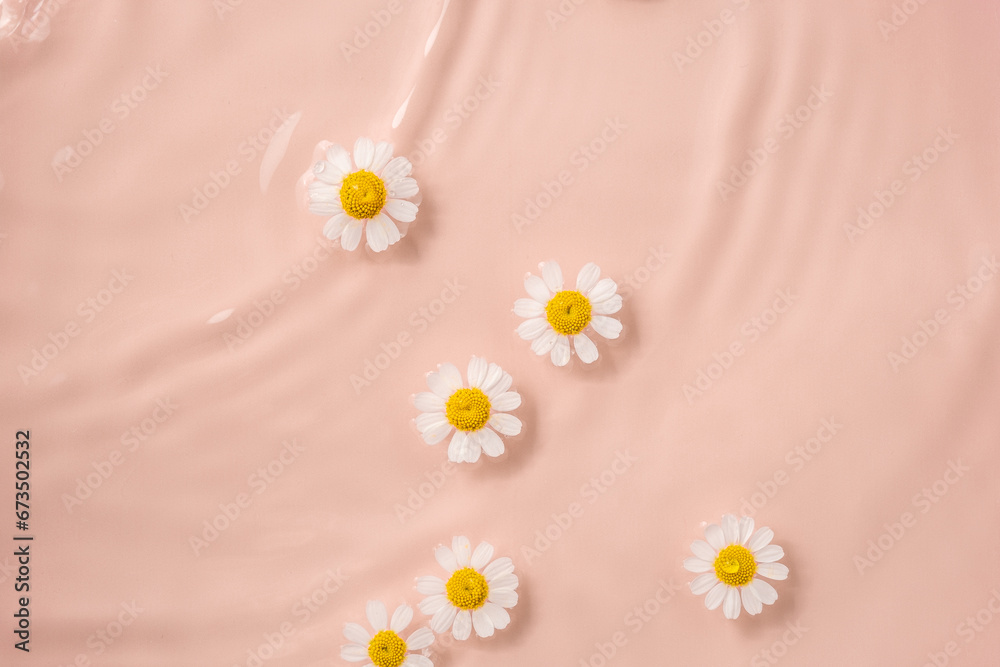 Chamomile flowers are floating, stains from a drop on the water Chamomile flowers are floating, stains from a drop on the water