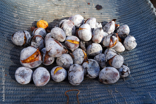 Roasted Chestnuts - Street Food in Lisbon, Portugal.