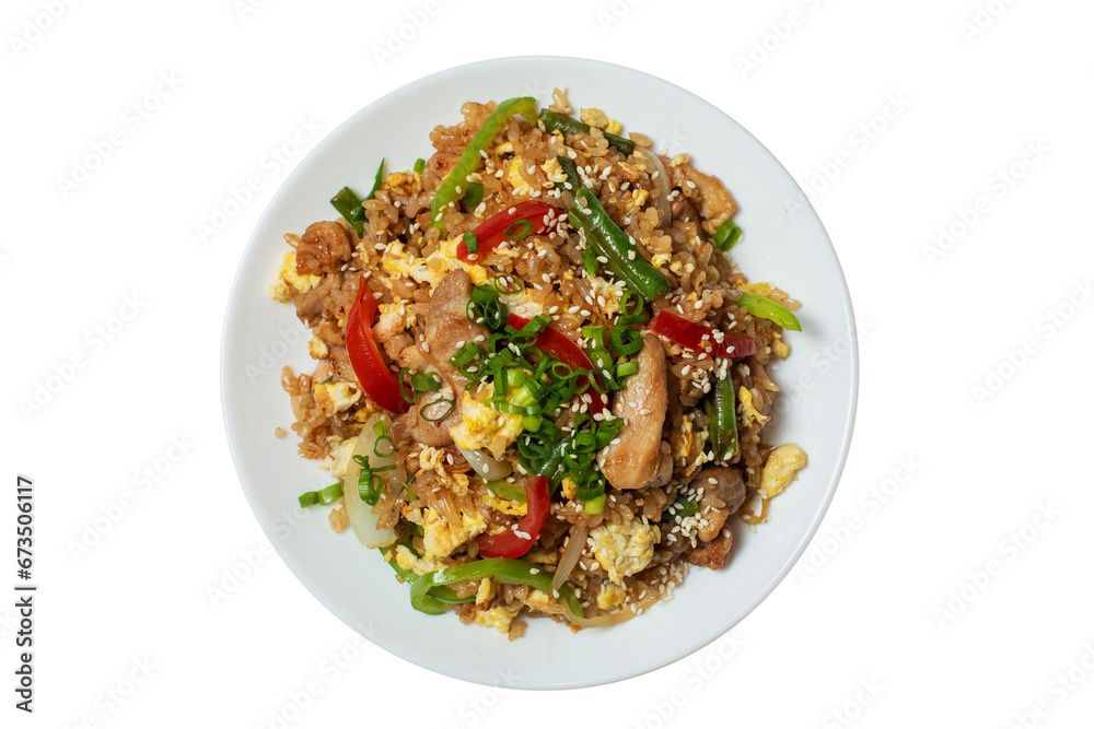Rice with egg and chicken