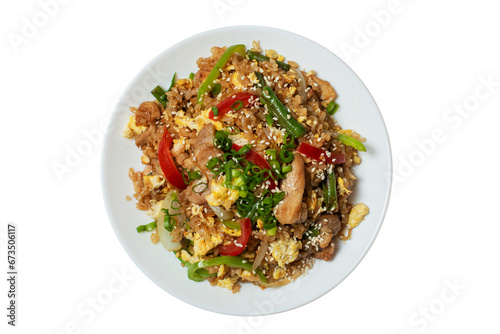 Rice with egg and chicken