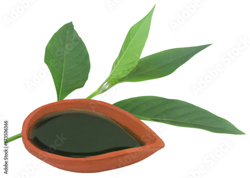 Adhatoda vasica or medicinal Basak leaves photo