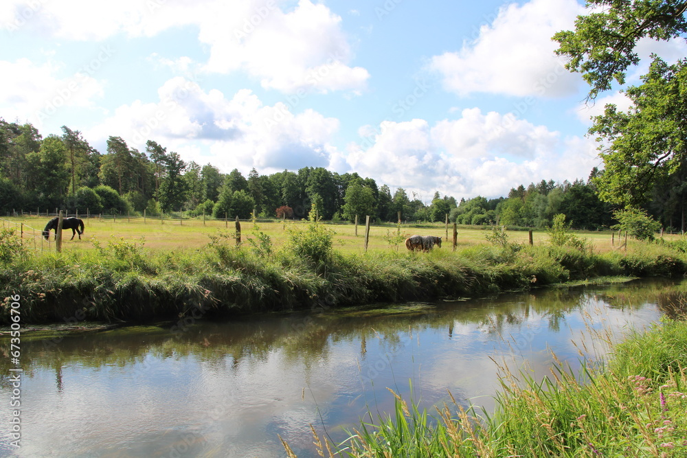 River landscape, Horses on a pasture, Confluece of Örtze and Wietze rivers in Müden | Hiking the River landscape, Horses on a pasture, Confluece of Örtze and Wietze rivers in Müden | Hiking the