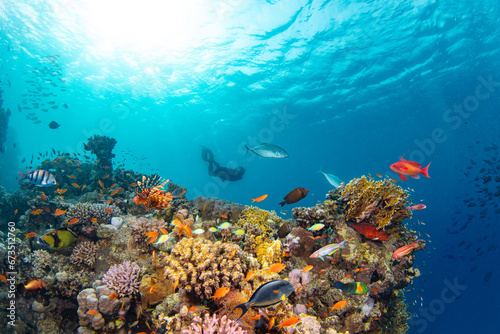 Fototapeta Naklejka Na Ścianę i Meble -  Underwater Tropical Corals Reef with colorful sea fish and freediver. Marine life sea world. Tropical colourful underwater panormatic seascape.